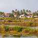 IMG_1841