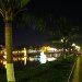 IMG_1881