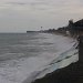 IMG_2055