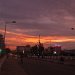 IMG_2254