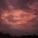 IMG_2255