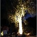 DSCF1155
