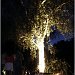 DSCF1156