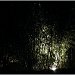 DSCF1247